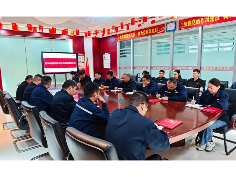 Party Building Leads the Way for Development | Xinke Lifting Holds Awarding Ceremony for Party Members' Demonstration Pioneer Positions