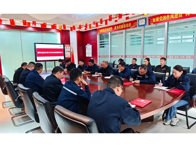 Party Building Leads the Way for Development | Xinke Lifting Holds Awarding Ceremony for Party Members' Demonstration Pioneer Positions