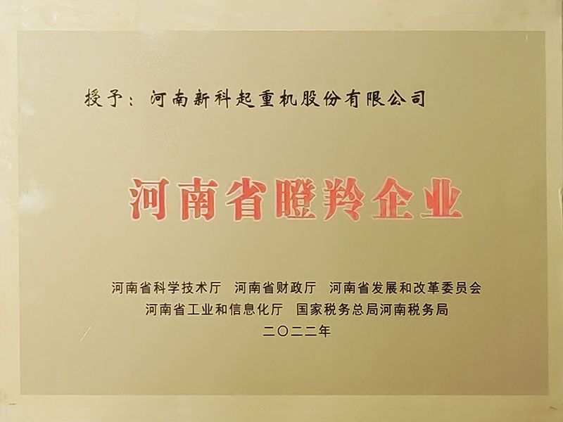 Gazelle enterprises in Henan Province