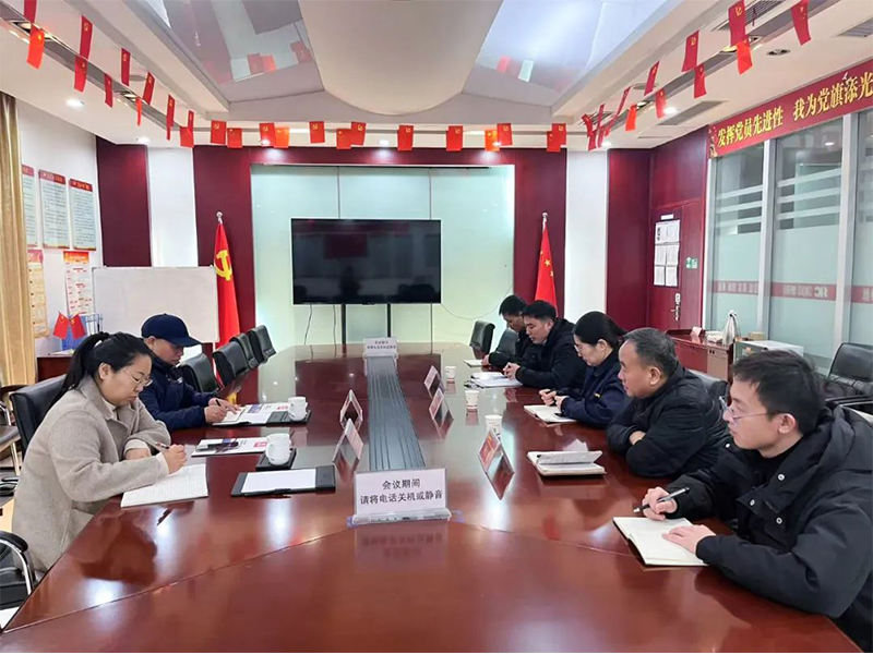 Dr. Wang Xinchao, who is currently on secondment at Sinoko Crane, reports his work to the Organization Department