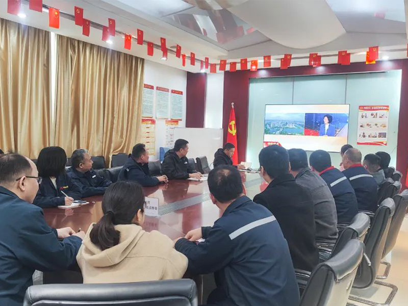 Practical Action Promotes the Nation for a Long Time | Party Members and Cadres of Sinoko Crane Organization Listen and Watch the Closing Ceremony of the Two Sessions